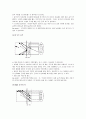 [족구] 족구의 역사와 규칙 및 전술과 기술 - 족구경기의 진행, 전술, 공격 및 용어정리 6페이지