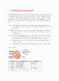 EKG의 이해 1페이지