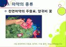 [마약]마약의 정의와 종류, 마약의 위험성과 부작용, 남용 시 문제점을 알아보고, 마약 복용 실태 조사 및 예방, 퇴치를 위한 노력 소개 15페이지