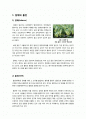 [담배][흡연][금연]담배(흡연)의 유해 성분과 관련 질병(암, 혈관, 폐 질환)은?, 간접흡연 및 여성 흡연의 문제점, 금연의 필요성과 방법은? 2페이지