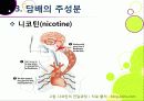 [금연][흡연][담배]ppt 담배 속 유해물질과 주성분 및 위험성 조사, 흡연이 건강에 미치는 영향과 금연 방법(중독과 금단현상 이기기) 16페이지