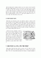인터넷 뉴스서비스와 개정 언론중재법의 필요성 및 의미 고찰, 포털뉴스의 문제점과 이에 대한 개정 언론중재법 내용 분석 10페이지