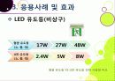 [LED 조명]LED기술을 활용한 다양한 조명 시스템, LED 조명기술의 주요 특성과 응용사례 및 장단점, LED 조명기술의 개발 동향 24페이지