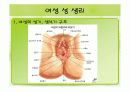 남자 여자 생식기 모형과 피임방법 3페이지