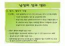 남자 여자 생식기 모형과 피임방법 30페이지