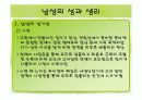 남자 여자 생식기 모형과 피임방법 38페이지