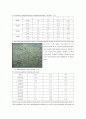 Effect of nitrogen dioxide in human body(이산화질소의 인체에 미치는 영향) 2페이지