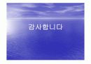 선박의  구성원칙(船舶の構成ルール )  14페이지