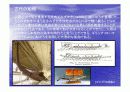 선박의  구성원칙(船舶の構成ルール )  20페이지