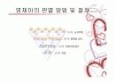 [교육학] 영재교육.ppt 파워포인트 14페이지