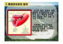[환경호르몬] 지구촌환경위기 과제- 환경에관한 자료 4페이지
