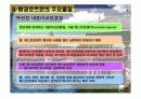 [환경호르몬] 지구촌환경위기 과제- 환경에관한 자료 14페이지