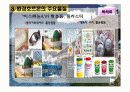 [환경호르몬] 지구촌환경위기 과제- 환경에관한 자료 18페이지
