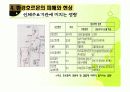 [환경호르몬] 지구촌환경위기 과제- 환경에관한 자료 22페이지