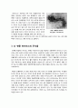 신종인플루엔자, 조류독감, 사스, 전염병 등과 같은 지구 대유행병(팬데믹,pandemic)의 발병 역사와 종류, 원인 및 대처방안(예방) 고찰 5페이지