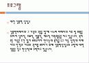 성교육(파워) 14페이지