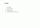 2007년~2008년 수입자동차 온라인 광고 집행 내역 분석 자료 2페이지