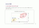 2007년~2008년 수입자동차 온라인 광고 집행 내역 분석 자료 4페이지