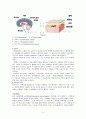 CASE STUDY ICH(intracranial hemorrhage ) 4페이지