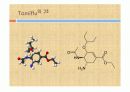 타미플루 (tamiflu) 신종플루 백신에 관한 발표. ppt 프리젠테이션 파일. 8페이지