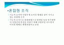 네이버 구글  포탈업에서의 조직특성및 전략비교 (경영조직론) 8페이지