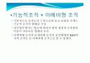 네이버 구글  포탈업에서의 조직특성및 전략비교 (경영조직론) 10페이지