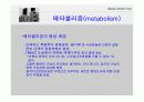나가킨 캡슐 타워 6페이지