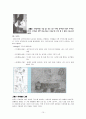 가정교육학과 유아기 신체 및 운동발달 11페이지