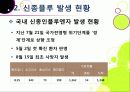 [신종인플루엔자]신종인플루엔자의 발생원인과 증상 및 치료법, 지구 대유행병(팬데믹)으로 번지고 있는 신종플루의 발병현황과 근본적 해결을 위한 과제 14페이지
