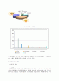 인터넷 중독 해결방안 6페이지