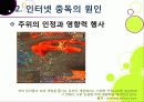 [인터넷중독]인터넷중독의 원인과 유형 및 증상, 인터넷중독(게임, 채팅, 쇼핑 등)의 문제점과 중독 문제 해결방안(예방과 치료) 13페이지