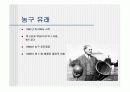 농구 기술과 규칙, 방법에 대하여 (슛 ,포지션, 규칙, 기술)농구 경기 방법과 특징,드리블 종류와 특징 3페이지