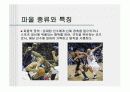 농구 기술과 규칙, 방법에 대하여 (슛 ,포지션, 규칙, 기술)농구 경기 방법과 특징,드리블 종류와 특징 9페이지