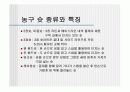농구 기술과 규칙, 방법에 대하여 (슛 ,포지션, 규칙, 기술)농구 경기 방법과 특징,드리블 종류와 특징 12페이지