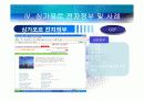싱가포르 전자정부 31페이지