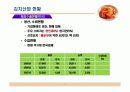 김치의세계화전략 5페이지