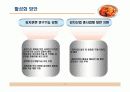 김치의세계화전략 11페이지