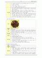 정신 간호 우울증, 알코올 중독 case 간호진단 12페이지