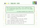 패션 브랜드 자라(ZARA)의 SCM 구축 성공사례 3페이지