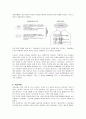경영혁신 도요타의 인사관리 분석 9페이지