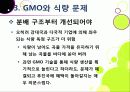 [GMO]유전자변형식품(gmo)의 이해와 GMO 논란의 주요 쟁점(GMO의 안전성, 식량 부족 문제 해결 가능성)에 대한 찬성 반대 의견 고찰 26페이지