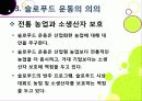 [슬로푸드]슬로우푸드(slow food)의 정의와 목적 및 의의 고찰, 현대음식(패스트푸드)의 문제점과 대책으로서의 슬로푸드 운동 21페이지