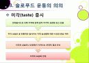 [슬로푸드]슬로우푸드(slow food)의 정의와 목적 및 의의 고찰, 현대음식(패스트푸드)의 문제점과 대책으로서의 슬로푸드 운동 24페이지