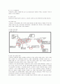 세계적인 브랜드 코카콜라의 마케팅전략 (SWOT, STP, 4P) 분석 5페이지