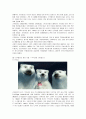 세계적인 브랜드 코카콜라의 마케팅전략 (SWOT, STP, 4P) 분석 6페이지