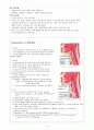 ○급성 후두개염○ Acute epiglottitis 5페이지