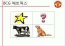 (한국외국어대학교경영학원론)MANCHESTER UTD 기업 전략 분석 6페이지