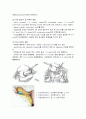 수술실-TAH.자궁근종 case study 10페이지