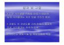 200kw 냉동창고 설계 14페이지