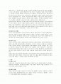 유가증권과 사채의 법적 개념 검토 2페이지